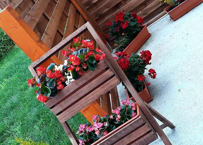 Na Wspolnej Weekendy Ferie !! * 비스와